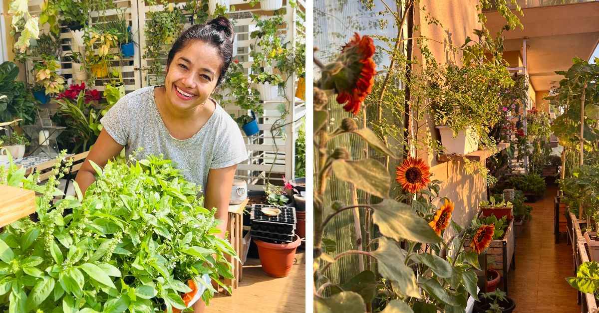 Bengaluru Woman Nurtures 500-Plant Balcony Jungle