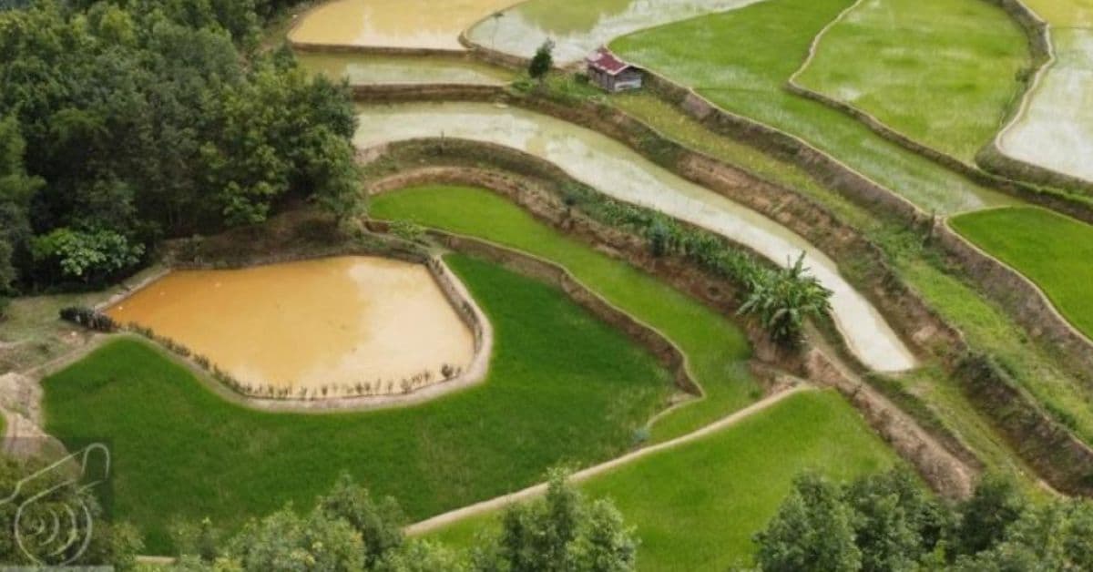 Nagaland’s Zabo Farming Turns Floods Into Food