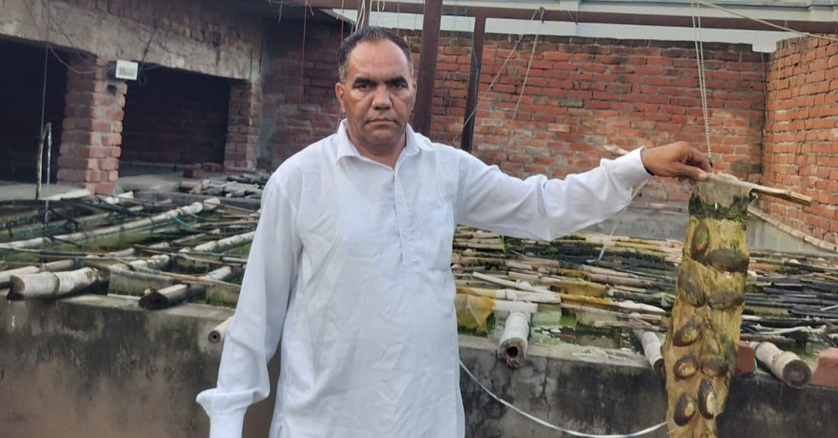 Factory Workers Build ₹1 Crore Pearl Farming Venture