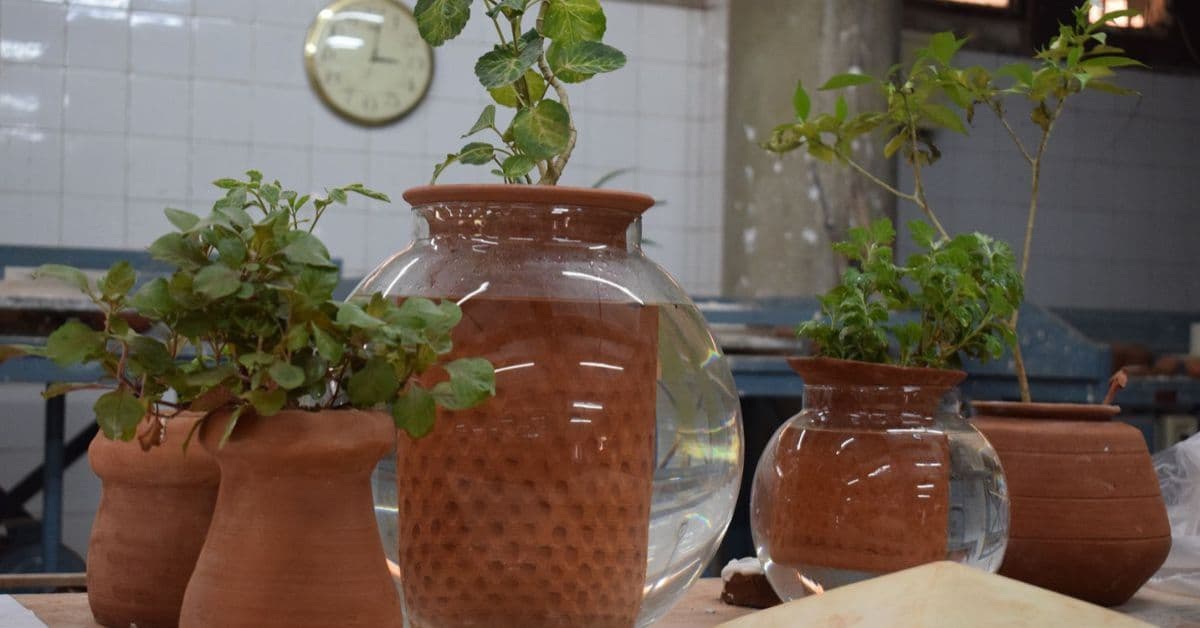 Self-Watering Pot Saves 80% Water for 15 Days