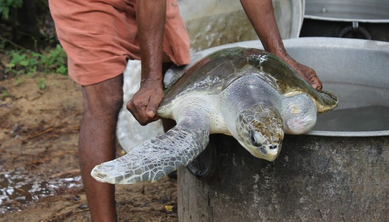 Jharkhand Farmer Uses AI to Modernize Sustainable Farming